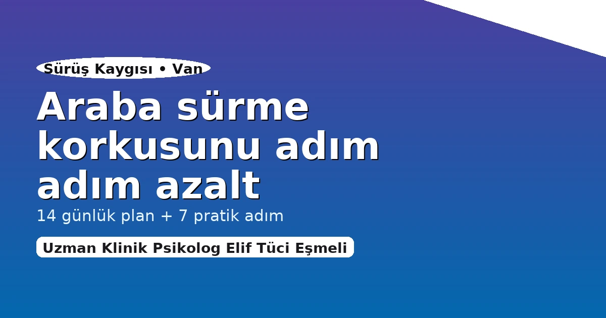 Van'da araba sürme korkusu için psikolojik destek görseli